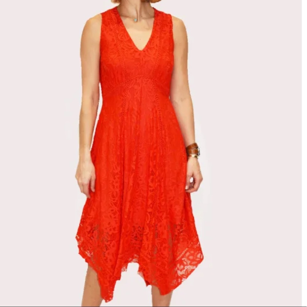 Taylor Gorgeous lace detail asymmetrical hem dress brand new